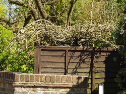 Chapel Hayes